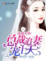 宠婚入骨:总裁追妻,宠上天
