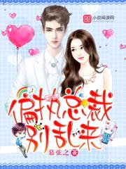 偏执总裁,别乱来!