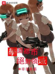 学园都市绝对领域