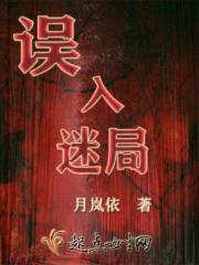 误入迷局