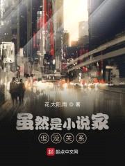 虽然是小说家但没关系