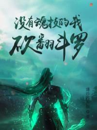 人在斗罗,没有魂环