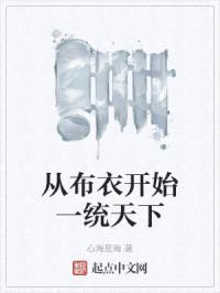 从布衣开始一统天下