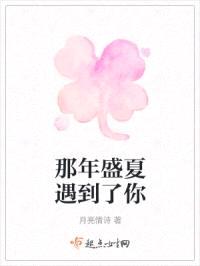 那年盛夏遇到了你