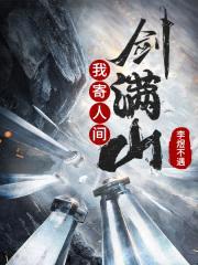 我寄人间剑满山