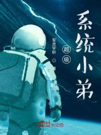 超级系统小弟