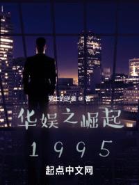 华娱之崛起1995