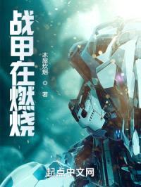 战甲在燃烧