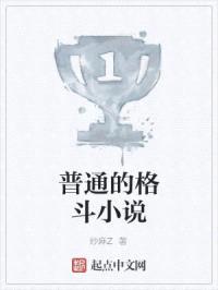 普通的格斗小说
