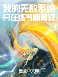 我有一个练气期保护系统