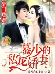 豪门暖婚:慕少的私宠娇妻