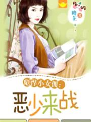 彪悍小女佣:恶少来战