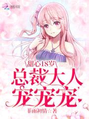 甜心18岁:总裁大人,宠宠宠